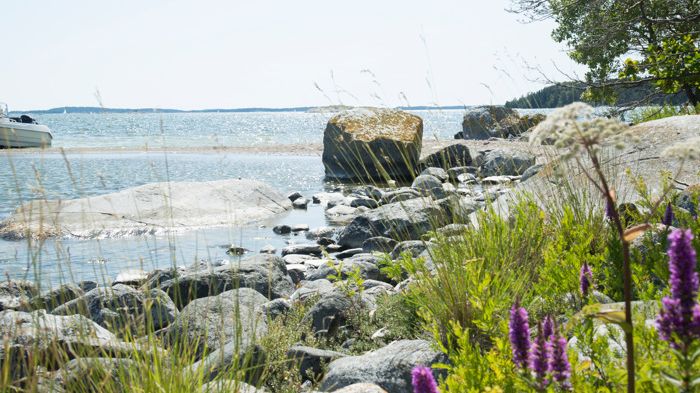 "Den värdefulla natur som finns i strandområden är viktig för den biologiska mångfalden. Vi tittar på att reglerna kring strandskydd följs, det vill säga att tillgängligheten till strandzonen inte begränsas eller försvåras."