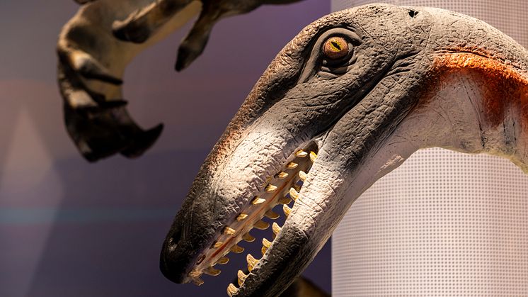 Velociraptor