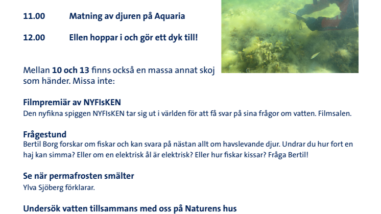 Program "Hur mår Östersjön? Forskare rapporterar under ytan