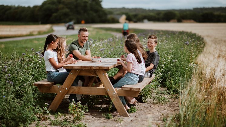 Visit Halland-ängen, till glädje för både människor och bin. Foto: Alexander Hall