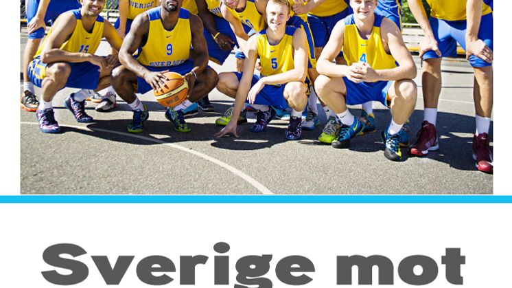 Basket: Mediaguide till EM-kvalet 2014