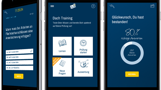 Abbildung Dach Training Beispielseiten (png)