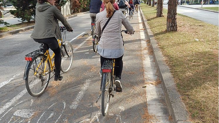 Ny studie: Vanebilister väger 4kg mer än cyklister