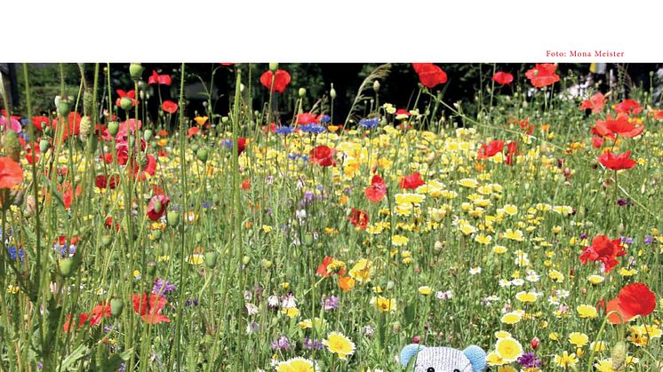 Bärenherz-Kalender 2015: Jeder Monat präsentiert bunte Strickbärchen in Aktion
