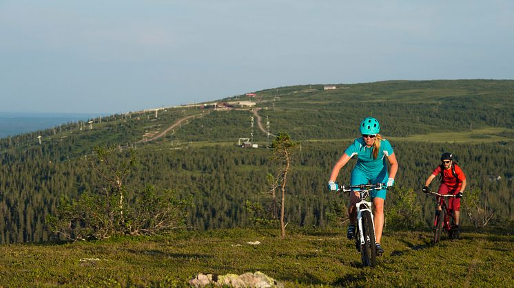 Cykla på fjället