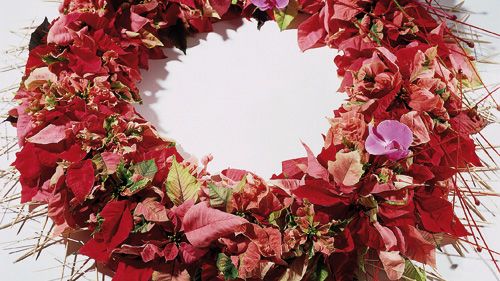 Pressinbjudan från Blomsterfrämjandet