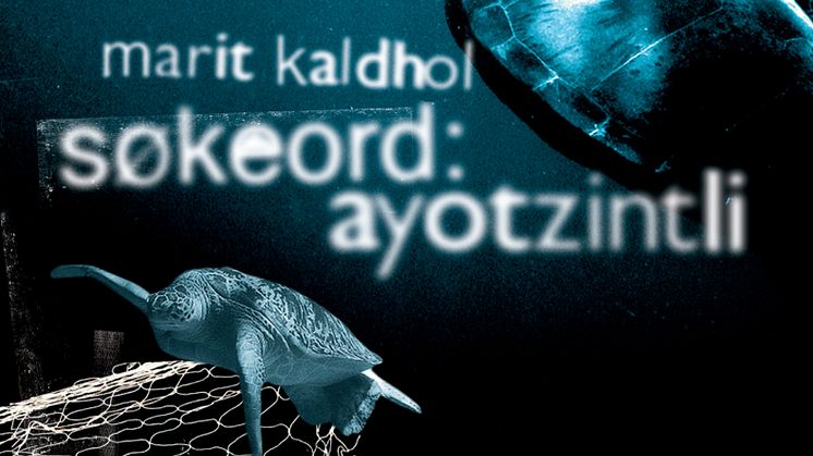 Søkeord ayotzintli