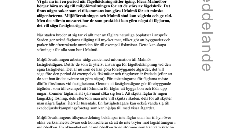 Fåglar som stör – fastighetsägare kan förebygga