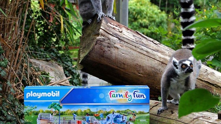Tierischer Spielspaß im Zoo in der Wingst