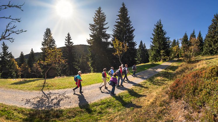 Wanderung_Wanderwochen_Gruppe_Oberwiesenthal Foto_TVE_UweMeinhold14.jpg