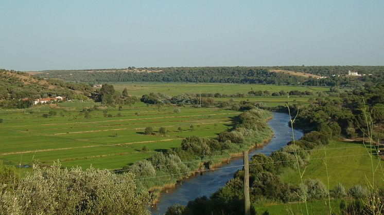 Utsikt över Sadodalen från den arkeologiska platsen Arapouco i Portugal. Foto: Rita Peyroteo Stjerna