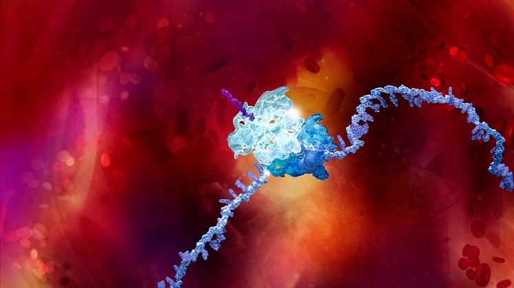 Messenger RNA
