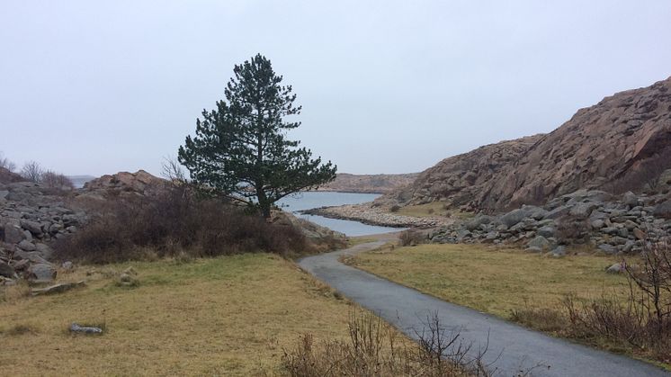 Varvet startar löparkvällar i Lysekil