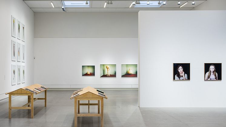 Installationsbild