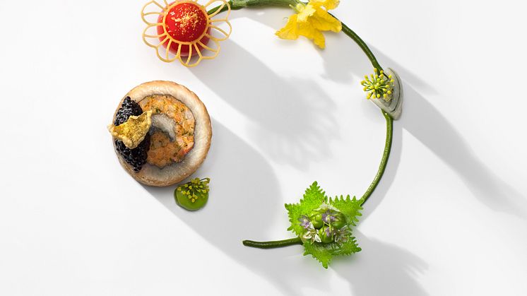 Bocuse d'Ord Europe 2020, Estnisk Havskatt