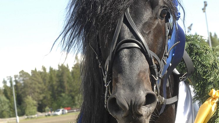 Svenskt, finskt eller norskt i Jim Fricks lopp – Elitkampen?