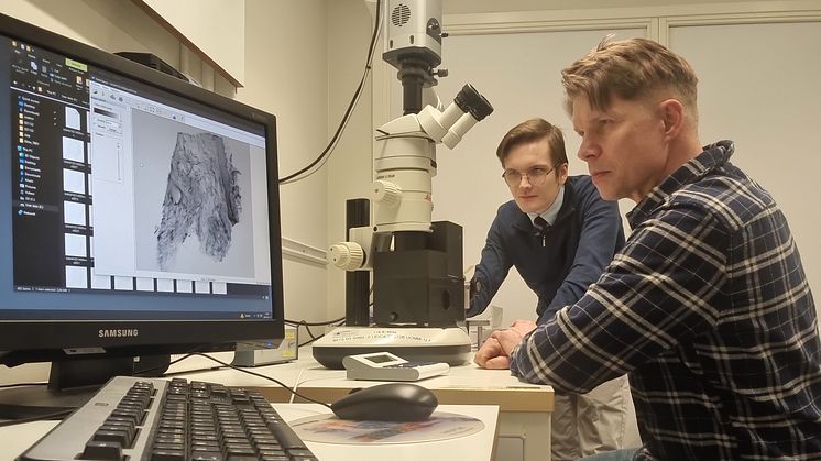 Doktoranden Joakim Lehrstrand (t.v.) och professor Ulf Ahlgren har samarbetat med professor Olle Korsgren vid Uppsala universitet och medarbetare vid Institutionen för medicinsk och translationell biologi vid Umeå universitet.