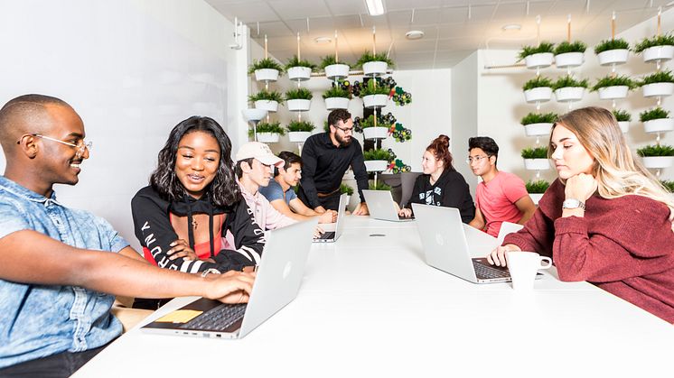 Thoren Business School Umeå växer med fler elever och levererade på samtliga punkter i Skolinspektionens tillsyn.