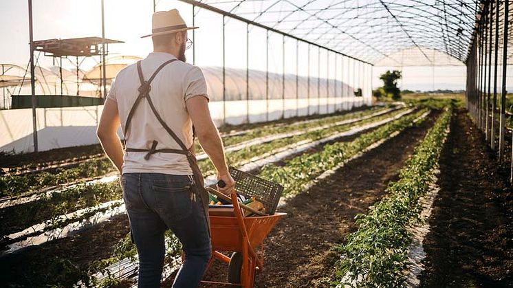 Nachhaltiges Düngen im Frühling mit Schafwollpellets