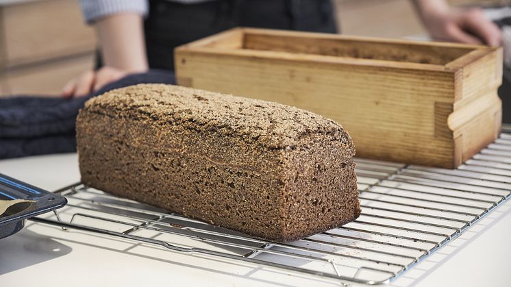 Rugbrød bagt på hvidtøl og gær