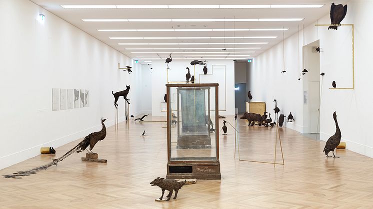 Petrit Halilaj, Poisoned by men in need of some love (2013), installation view at Bundeskunsthalle Bonn. Credit: Simon Vogel / Cologne
