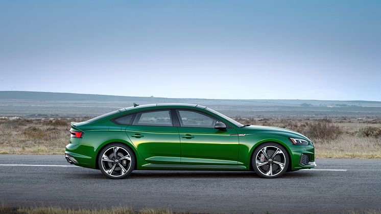 Audi RS 5 Sportback (Sonomagrøn metallak)