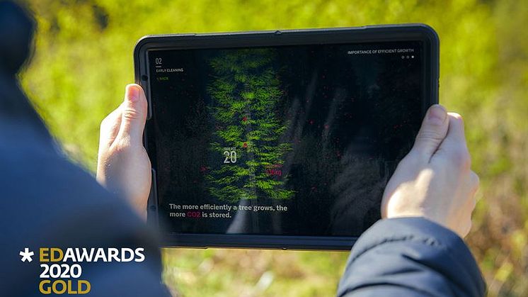 Guld i European Design Awards för HiQ.