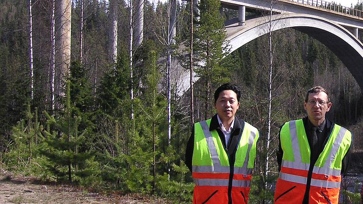 Översyn av broar leds av LTU forskare