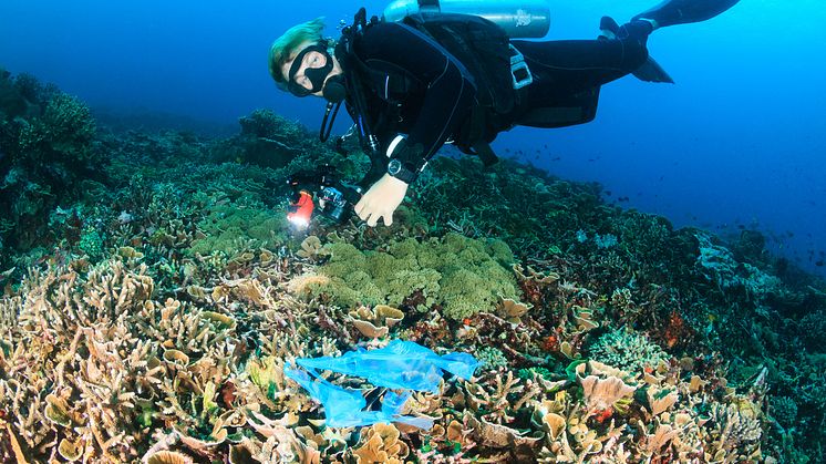 Plastics pollution of our oceans has reached a stage where over 70% of deep sea fish have ingested plastic, according to new scientific research