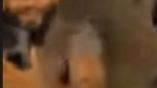 112204