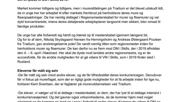Nikolaj Skydsgaard Hansen og Andreas Østergaard Poulsen blev vindere af regionsmesterskabet for murer  og flisemurer 2018.