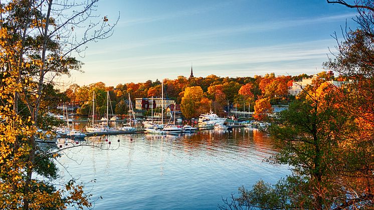 Rekordmånga båtar till salu efter en sommar i Sverige
