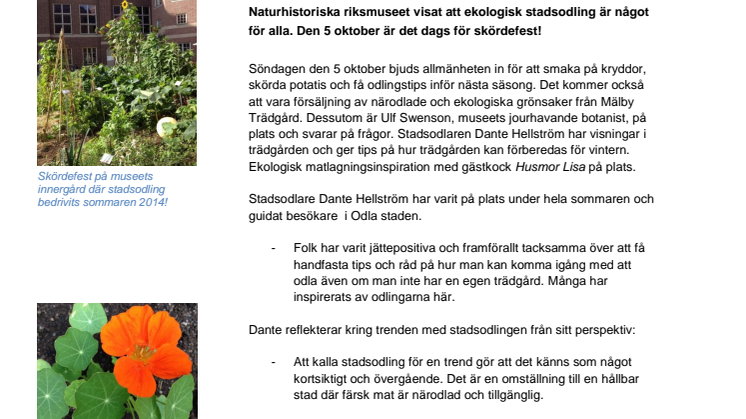 Skördefest i Odla staden 5 oktober