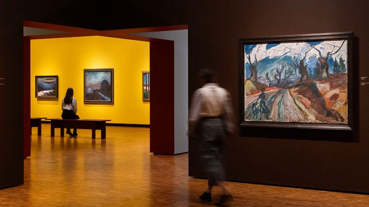 Installation images of Trembling Earth