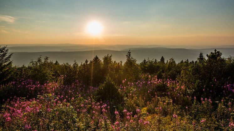 Sunset from Fichtelberg 1215 meters above sea level near Oberwiesenthal (1)_Foto_TVE-Greg_Snell_snellmedia.com.jpg