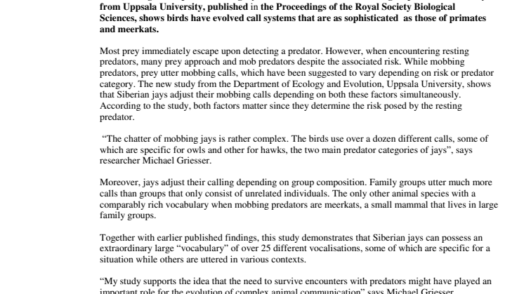 Siberian jays use complex communication to mob predators