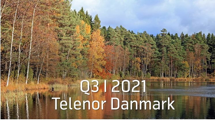 Telenor leverer stabil vækst og den højeste indtjeningsgrad i 15 år