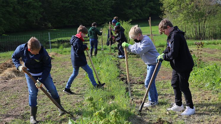 Louisenlund macht mit bei der Landwirtschaft der Zukunft