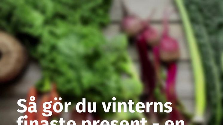 Så binder du en ätbar julbukett