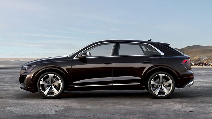 Audi Q8 TFSI e quattro
