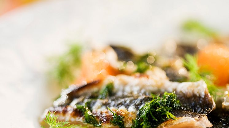 Månadens recept april 2009: Rostad siklöja med potatiscrème