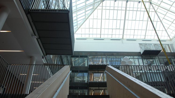 interior_sam_chalmers