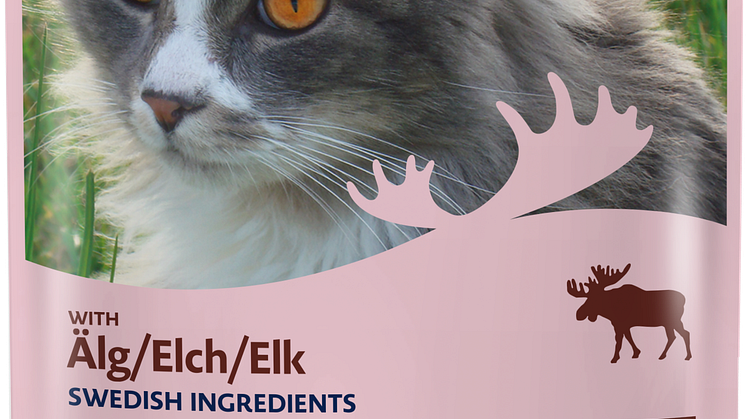 Elk in jelly