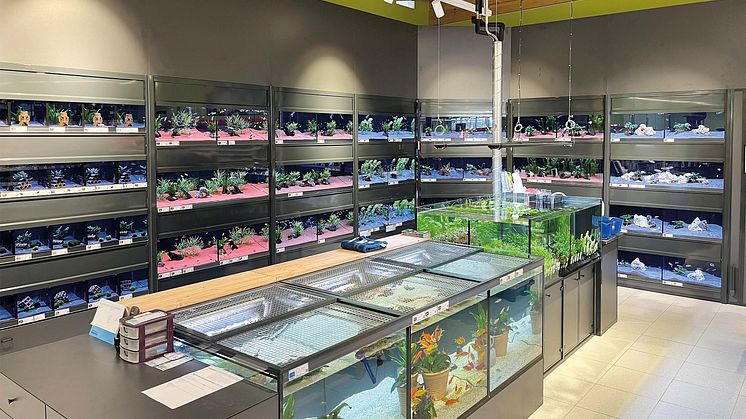 Aquaristikanlage_Oberwart_300dpi_cmyk
