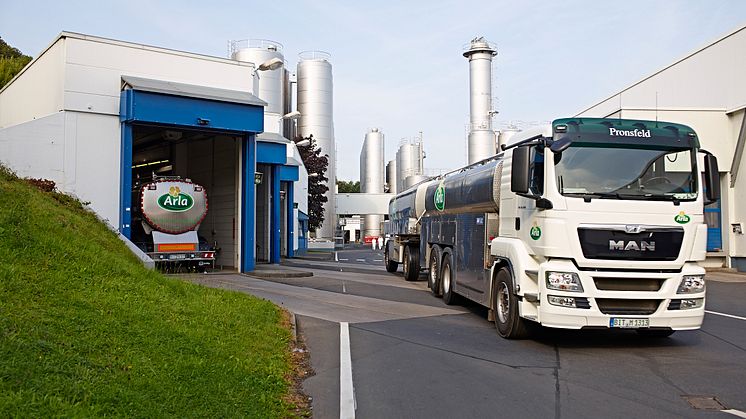 Die Landwirte der europäischen Molkereigenossenschaft Arla Foods produzieren weniger Milch.