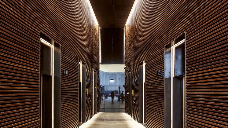 Dekton_Toha2_credits Fernando Alda
