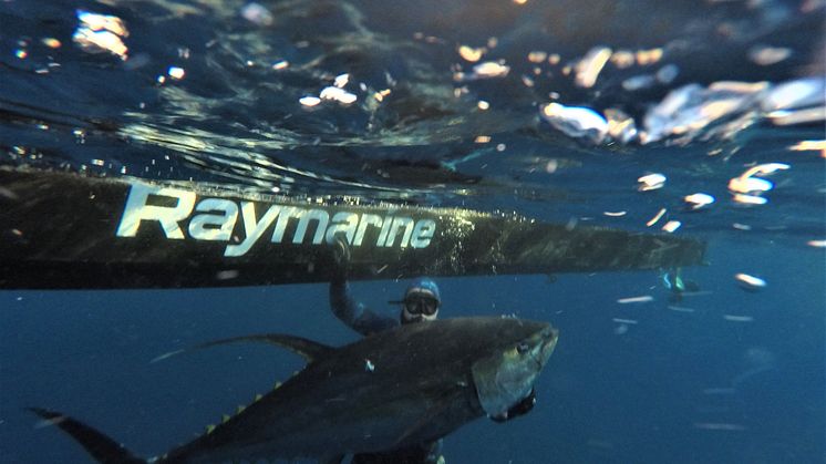 High res image - Raymarine - Fish Tales