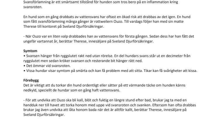 Vattensvans hos hundar