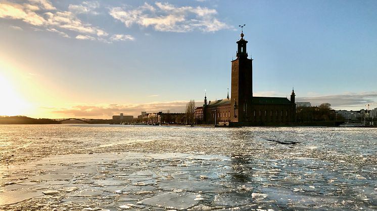 Nordiska företag betalar mer än 12 miljoner kronor i genomsnitt för cyberattacker via e-post 