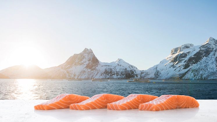 Strongest ever July for Norwegian seafood exports